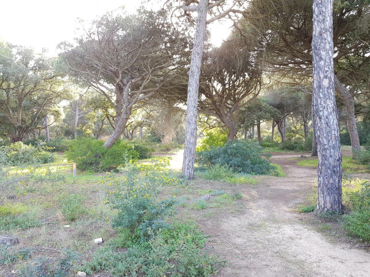 Apartamento Pinar Del Atlantico-La Barrosa Chiclana de la Frontera Exteriér fotografie